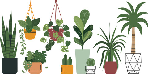 A vibrant illustration showcases a diverse collection of indoor plants in decorative pots and hanging planters creating a lush green aesthetic high quality © MdNaimurRahaman