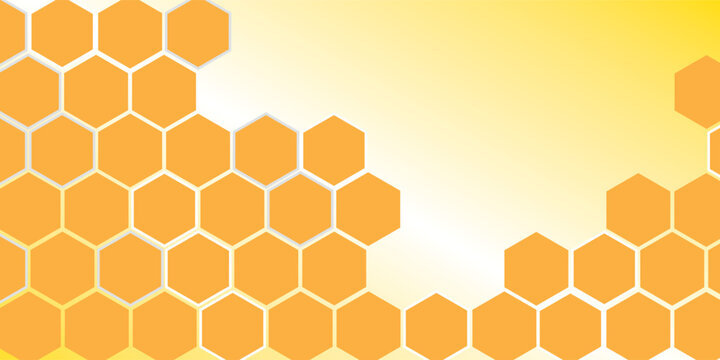 Abstract pattern seamless yellow hexagon honeycombs on a white background. Honey comb background pattern symbol vector design. vector illustration