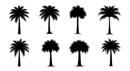 Obraz premium Silhouetted palm trees of varying designs, set against a bright white background