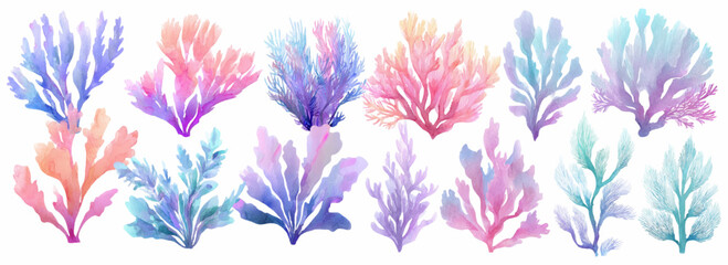 Watercolor collection of vibrant coral and seaweed, featuring various shapes and textures in delicate pastel shades of pink, blue, purple, and green on white background © Narin