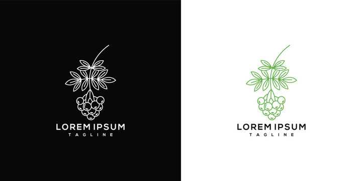 Line Art Logo Featuring Raspberry and Leaves