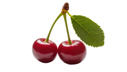 Two glossy red cherries with green stem and single leaf © Nuria