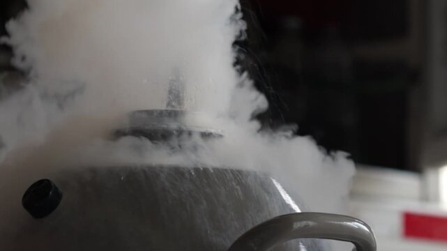 Liquid Nitrogen Experiment Dramatic Vapor and Cooling Effects in Laboratory Condensation Science