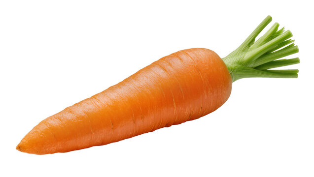 Bright orange Carrot with green leafy top, angled view