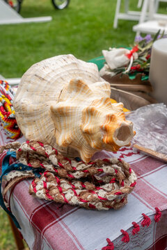 Altar ceremonial hol&iacute;stico con ma&iacute;z ancestral, semillas, miel y elementos para sahumerio