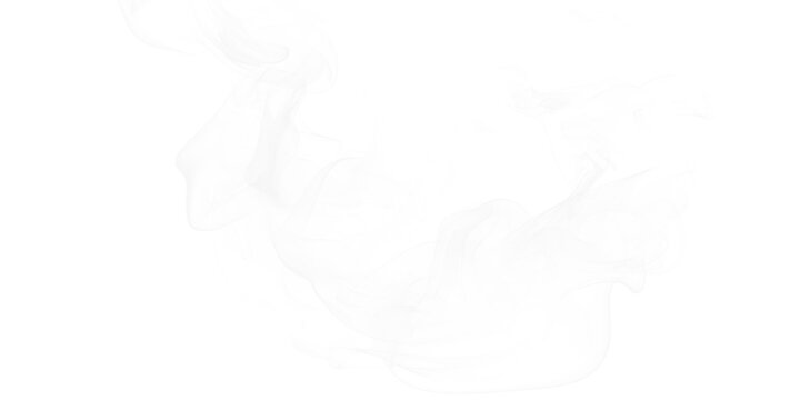 Wispy white smoke swirls on a black background creating ethereal abstract patterns of flowing vapor and cinematic styles