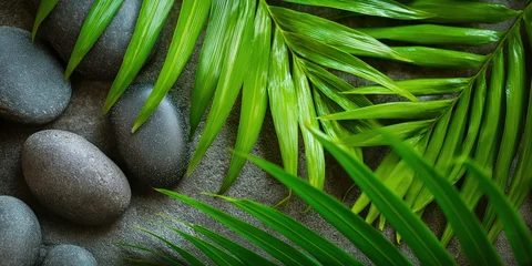Poster Toilet Close up of smooth black volcanic spa stones nestled among vibrant green tropical palm leaves on a dark textured stone surface, perfect for zen and holistic therapy concepts.  © Nguyen