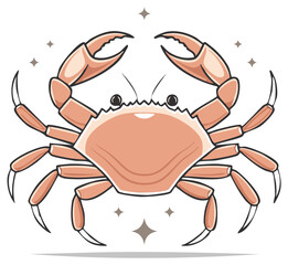 Fototapeta premium Cartoon crab illustration with claws and details, ocean animal vector art design