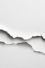 Naklejka premium A ripped piece of paper with rough edges
