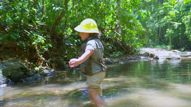 A curious toddler explorer wades through a shallow forest stream with a net, engaging in experiential learning and early childhood nature discovery.