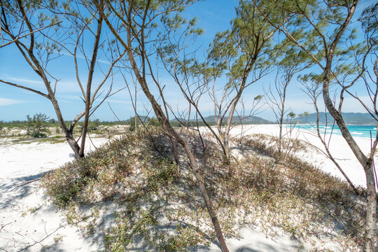 beautiful fine white sandy beach at Praia das Dunas in Cabo Frio