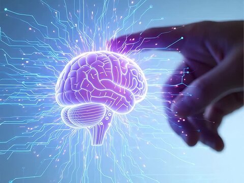 Human brain with digital interface