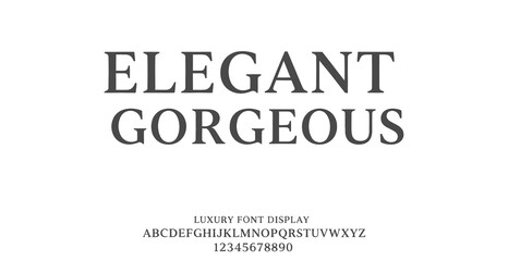 Fototapeta premium A luxury font display showcasing elegant and gorgeous typography on a white background