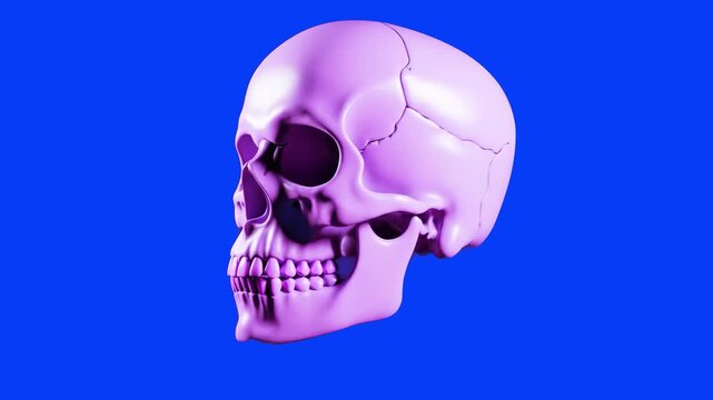 A detailed 3D human skull that continuously shifts and shimmers through a range of vibrant colors, performing a continuous 360-degree rotation. Isolated on a blue screen background for professional ch