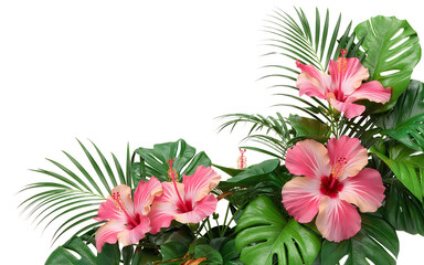 Fototapeta premium Tropical corner arrangement pink hibiscus flowers and green palm leaves on white background.