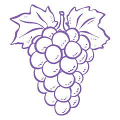 Naklejka premium A vector illustration featuring a ripe bunch of purple grapes on a vine with a green leaf and floral decoration for a nature-inspired wine design pattern