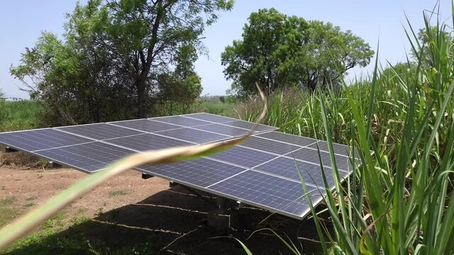 This solar-powered water pump provides sustainable irrigation for crops like sugarcane. Replacing diesel or grid power, it offers a cost-effective, eco-friendly, & reliable energy solution for farming