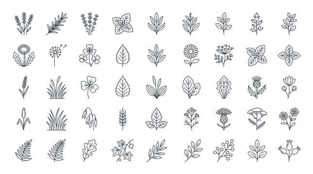 Botanical line art icons A collection of elegant floral and leaf vector illustrations