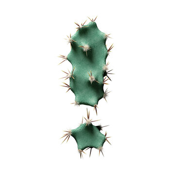 3D Wild Desert Cactus Exclamation Mark with Sharp Spines