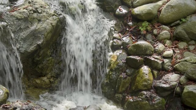 Water flows over rocks in a forest stream during a sunny afternoon in nature