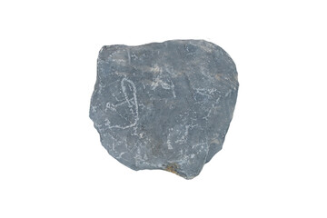 Fine-grained limestone isolated on white background, gray to dark blue in color, with white fractures or mineral veins. © Montree