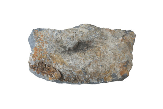 Limonite on fine-grained gray limestone isolated on white background.