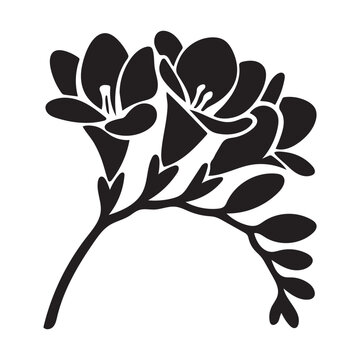 Elegant freesia vector silhouette, simple black floral icon for modern design projects.