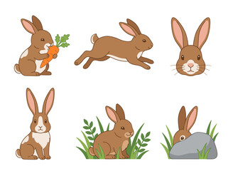 Fototapeta premium Rabbit vector illustration set: bunny hopping, eating carrot, sitting, and hiding on white background