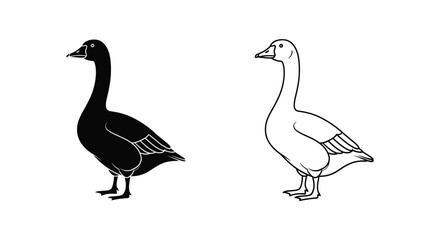 Fototapeta premium Black and White Ducks Illustration Guide Vector