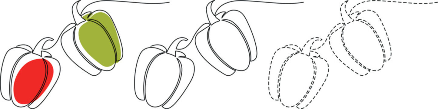 Stages of a peach's ripening process from unripe to fully ripe and dried Vector