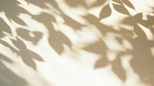 Soft-focus video of leaf shadows on a wall, captured from a side angle, creating a serene ambiance. Live desktop wallpaper.