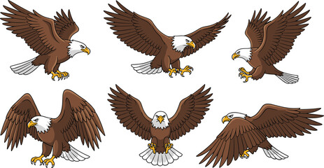 Bald Eagle Flying Illustration Set Featuring Spread Wings and Landing Poses Detailed Bird of Prey Wildlife Animal Vector Collection. © MstSuborna
