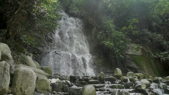 Water flows down the rocks at a waterfall in a forest during the day with sunlight shining through the leaves