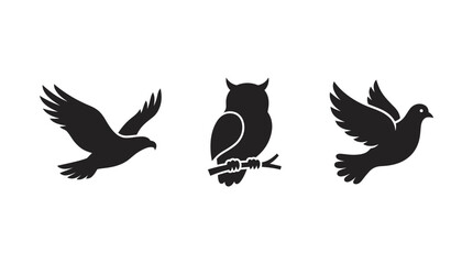 Obraz premium Silhouette of birds in flight.