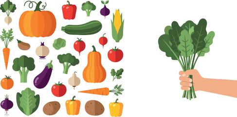 Fototapeta premium Vegetables collection vector illustration with hand holding fresh leafy greens including pumpkin tomato eggplant carrot corn and pepper isolated