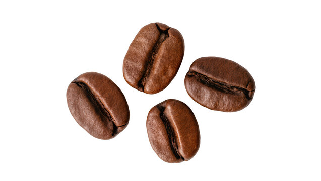 Isolated four roasted coffee beans, delicious dark brown aromatic whole grains for hot drink
