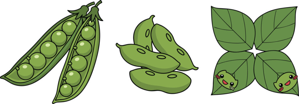 Pea pod illustration set with green peas, beans and cute leaf characters isolated on white background, fresh vegetable vector design