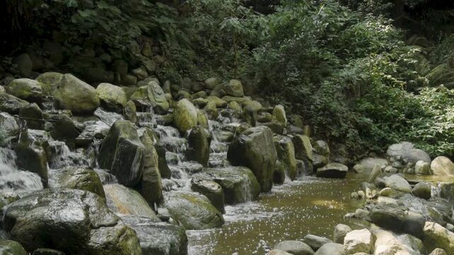 Water flows down the rocks at a waterfall in a forest during the day with sunlight shining through the leaves