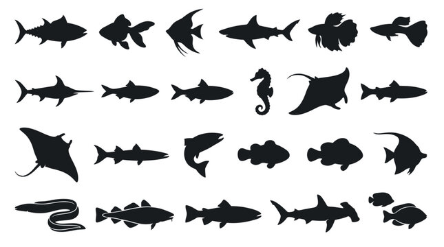 Silhouettes of various sea creatures.