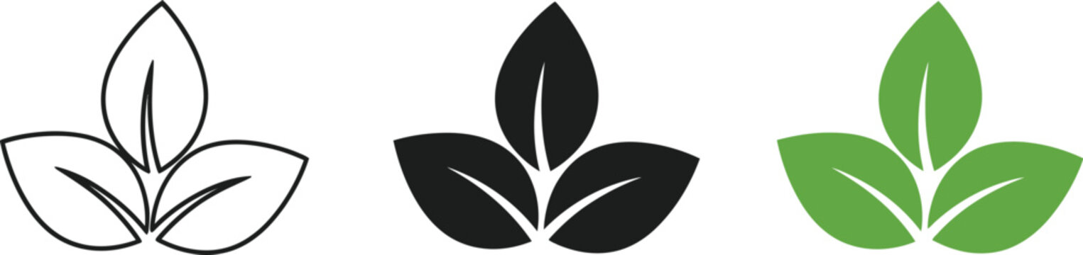 A set of three leaf icons in different colors and styles
