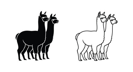 Fototapeta premium Llamas vs Alpacas: Identifying Key Differences Vector