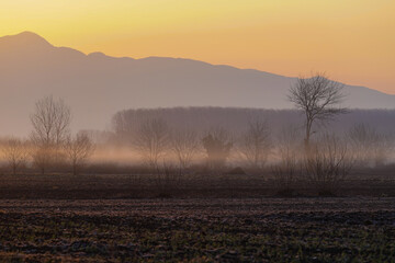 Fototapeta premium Morning nature landscape view