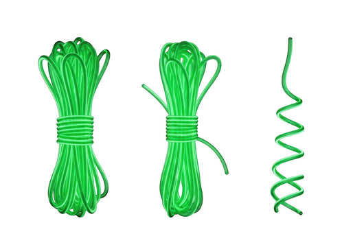 A pair of green broccoli plants with long stems and leafy tops isolated on transparent background