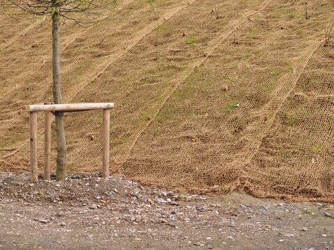 Medium shot of a sloped embankment covered with brown coir netting for
erosion control. The biodegradable geotextile mesh stabilizes the hillside while
young plants grow through the grid. 