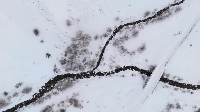 Snow blankets quiet winter forest with rocky stream