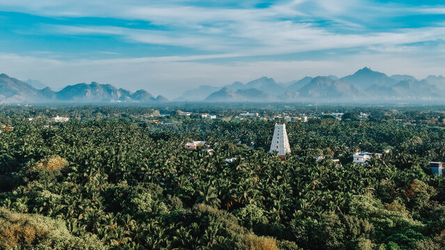 Hindu temple gopuram rising above palm trees with mountain backdrop aerial view