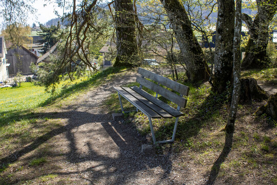 Bench - Forch, Switzerland - April 8th 2026