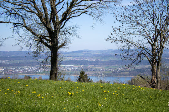 Landscape - Forch, Switzerland - April 8th 2026