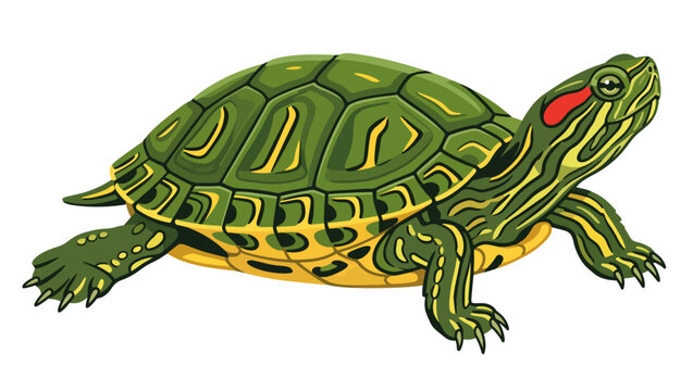 Red-Eared Slider Turtle Vector Icon  Wildlife Reptile Illustration Isolated on Transparent Background, turtle, red-eared slider, aquatic turtle, reptile, wildlife, animal icon, nature, green turtle, 