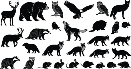 Obraz premium Collection of wild animals and birds in silhouette.